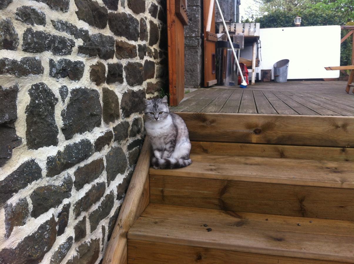 La Ferme De Montaigu B&B 외부 사진